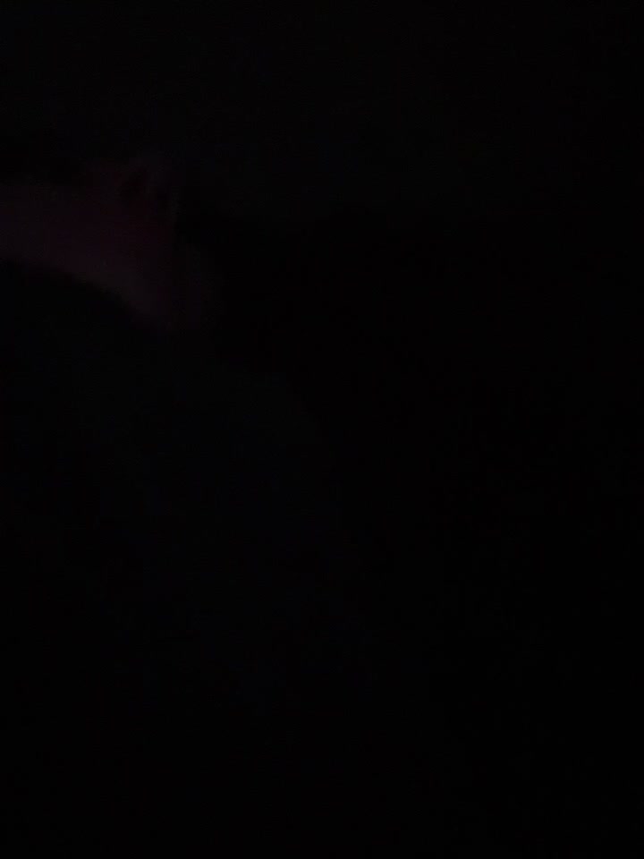 Cherry____Pie - Stripchat Show (17m 8s) • Sunday, March 9, 2025 [w0f0]